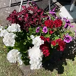 Beyer Apartmán *