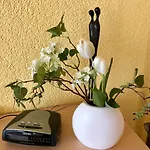 Apartmán Beyer *
