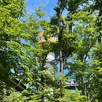 Apartmán Beyer *