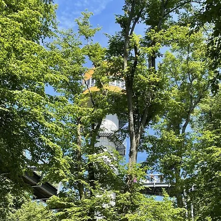 Апартаменты Beyer Фридрихрода