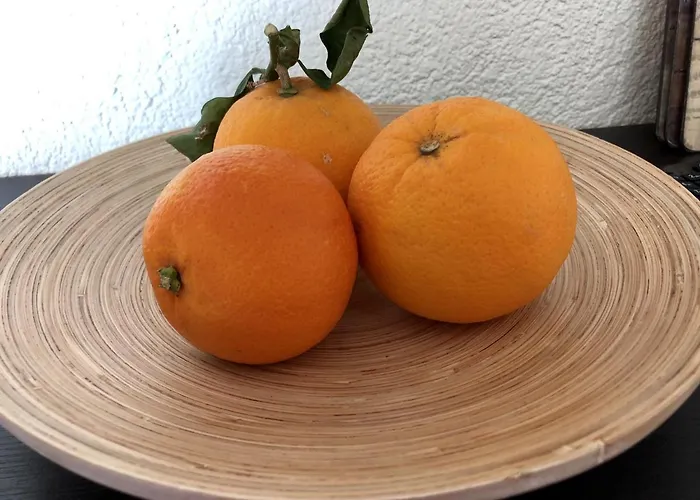 Beyer * Friedrichroda