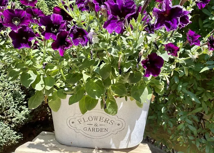 Appartement Beyer Friedrichroda